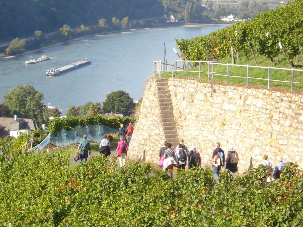 Hotel Gasthof Schuster Und Gaestehaus 吕德斯海姆 外观 照片