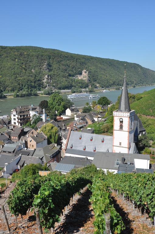 Hotel Gasthof Schuster Und Gaestehaus 吕德斯海姆 外观 照片